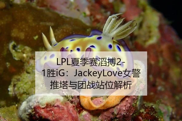 xia-ji-sai-tao-bo-sheng-nv-jing-tui-ta-yu-tuan-zhan-zhan-wei-jie-xi-3-978.jpg