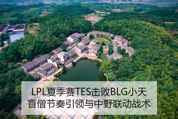 LPL夏季赛TES击败BLG小天盲僧节奏引领与中野联动战术